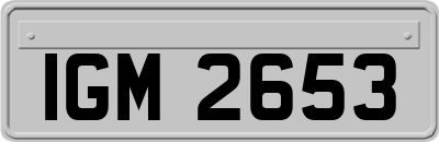 IGM2653
