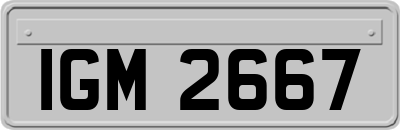 IGM2667