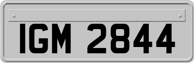 IGM2844