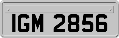 IGM2856