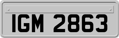 IGM2863