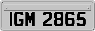 IGM2865