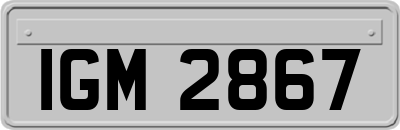 IGM2867