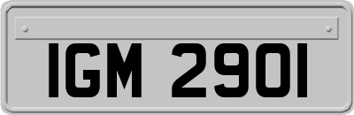 IGM2901
