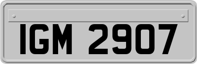 IGM2907