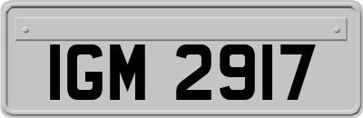 IGM2917