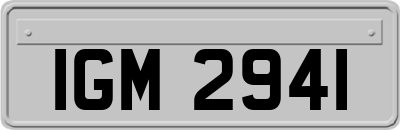 IGM2941