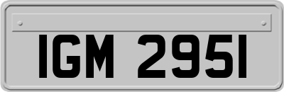 IGM2951