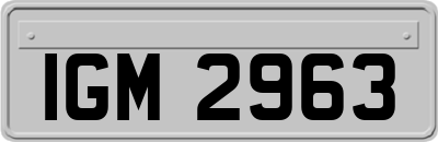 IGM2963