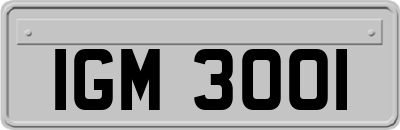 IGM3001