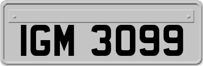 IGM3099