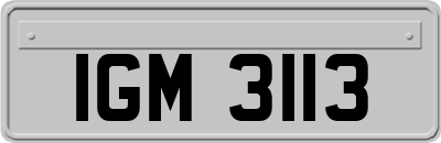 IGM3113