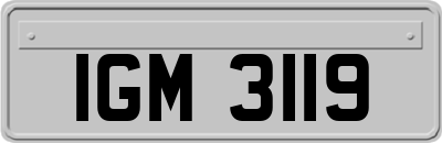 IGM3119