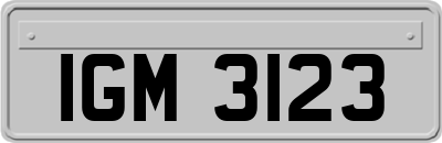 IGM3123