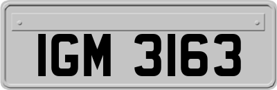IGM3163
