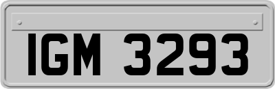 IGM3293