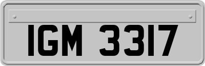 IGM3317