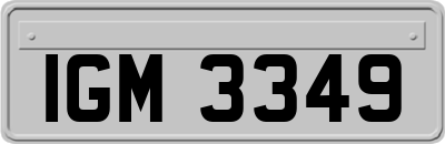 IGM3349