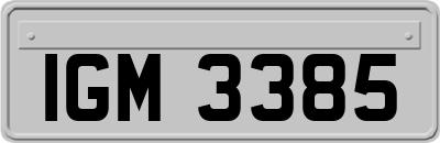 IGM3385