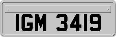 IGM3419