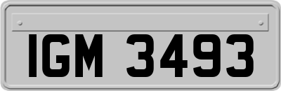 IGM3493