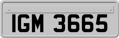 IGM3665