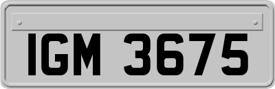 IGM3675