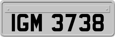 IGM3738