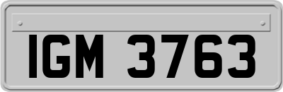 IGM3763