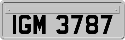 IGM3787