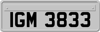 IGM3833