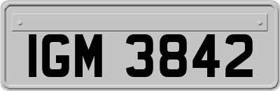 IGM3842