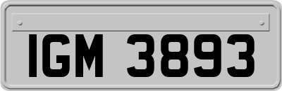 IGM3893