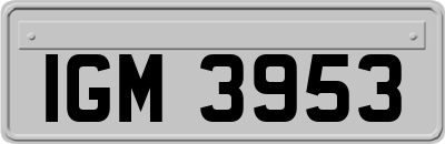 IGM3953