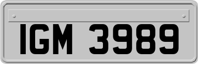 IGM3989