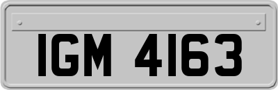 IGM4163