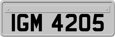 IGM4205