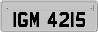 IGM4215