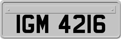 IGM4216