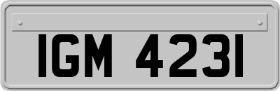 IGM4231