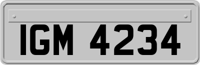 IGM4234