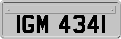 IGM4341