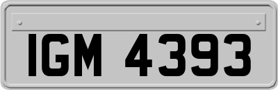 IGM4393