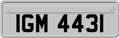 IGM4431