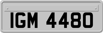IGM4480