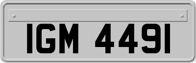 IGM4491