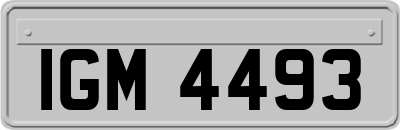 IGM4493