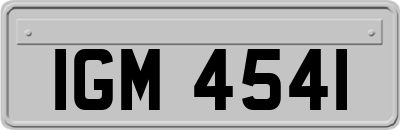 IGM4541