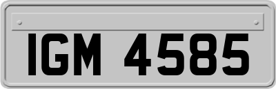 IGM4585