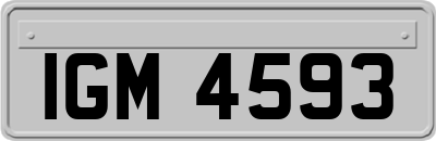 IGM4593